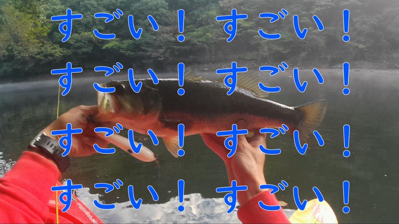 タムタム Bass Fishing vol40 TTダム　後編　このルアーヤバすぎる！！
