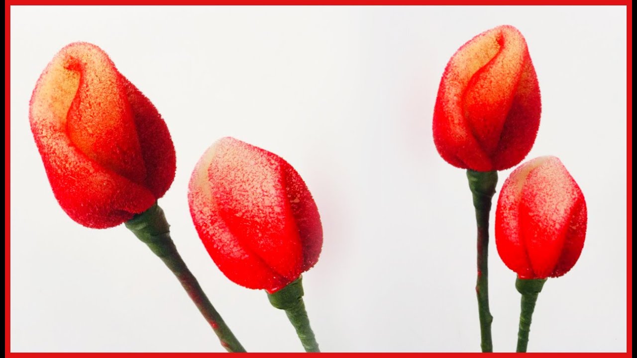 How to make | rose buds using sponge | Rose buds with sponge craft | cute sponge rose buds making
