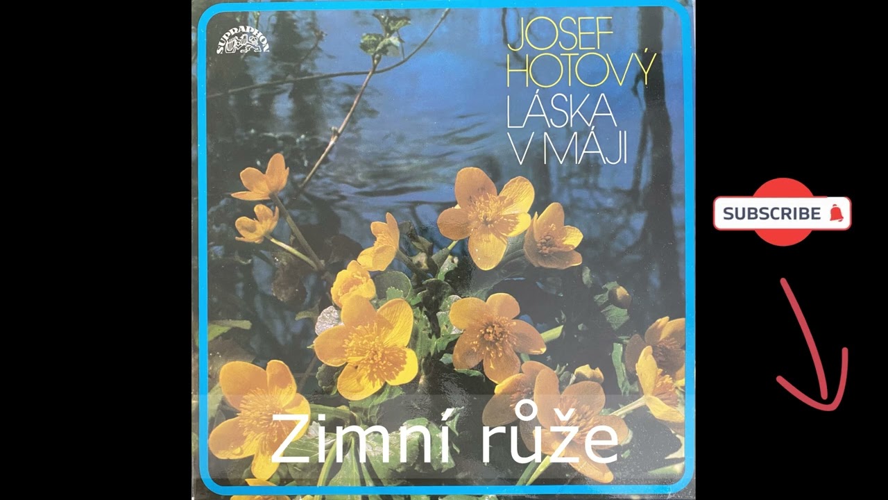 Zimní růže - Josef Hotový
