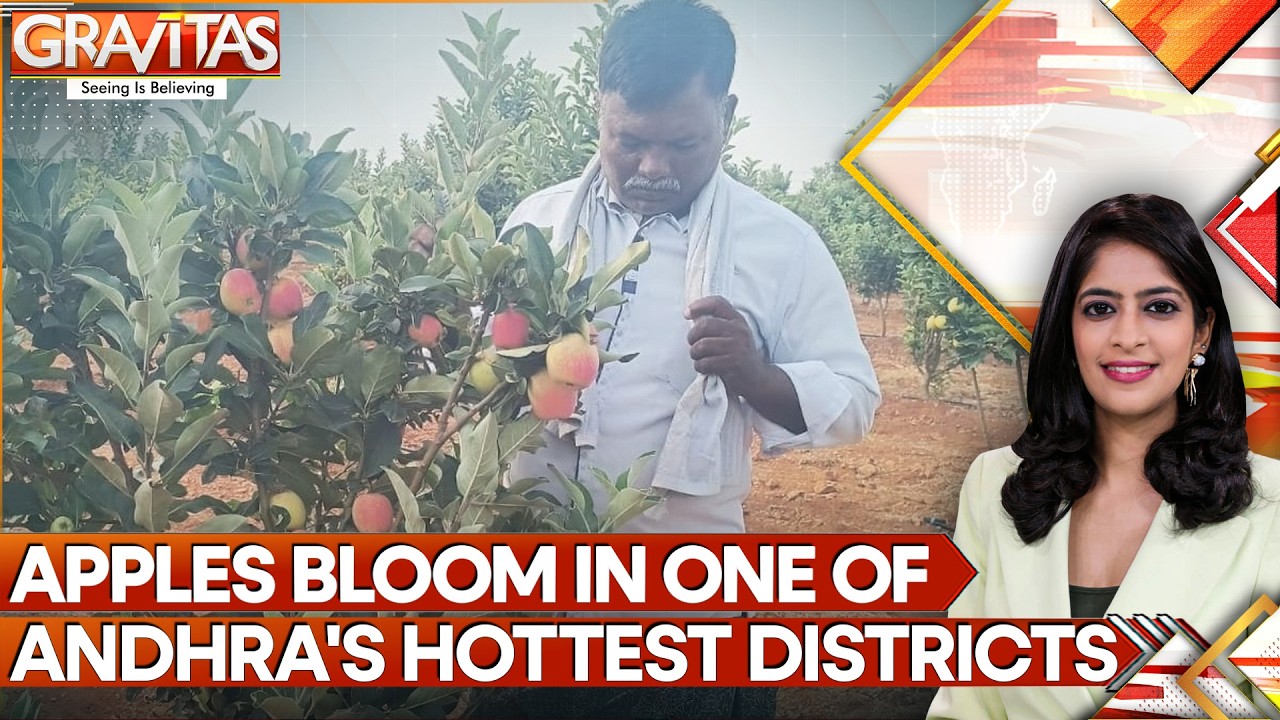 Andhra Farmer Scripts History; Grows Apples in Extreme 45&deg;c Heat | GRAVITAS