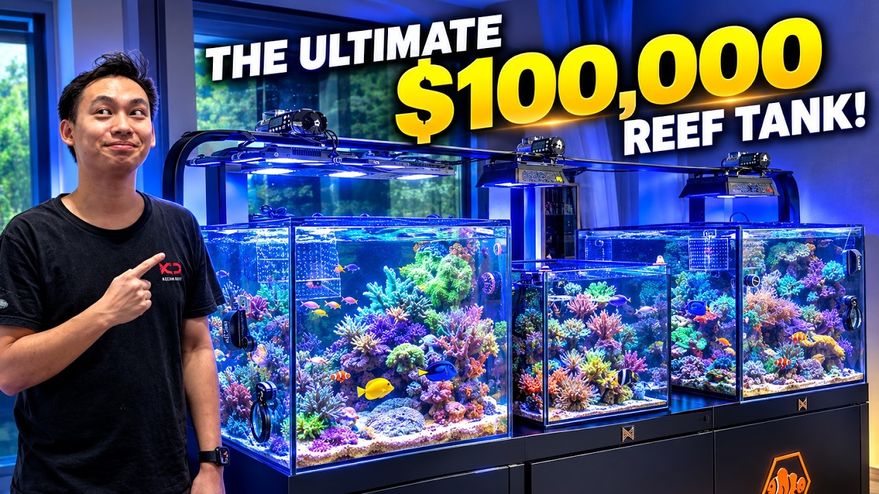 3 Tanks. 1 System. $100,000+ of Reef. - TropicMarin Reefers.