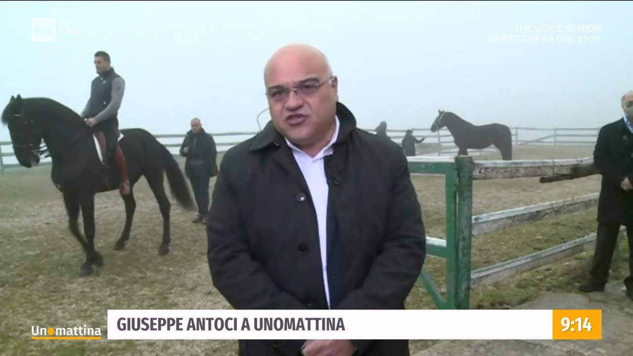 I cavalli della rinascita nel Parco dei Nebrodi - Unomattina - 07/01/2022