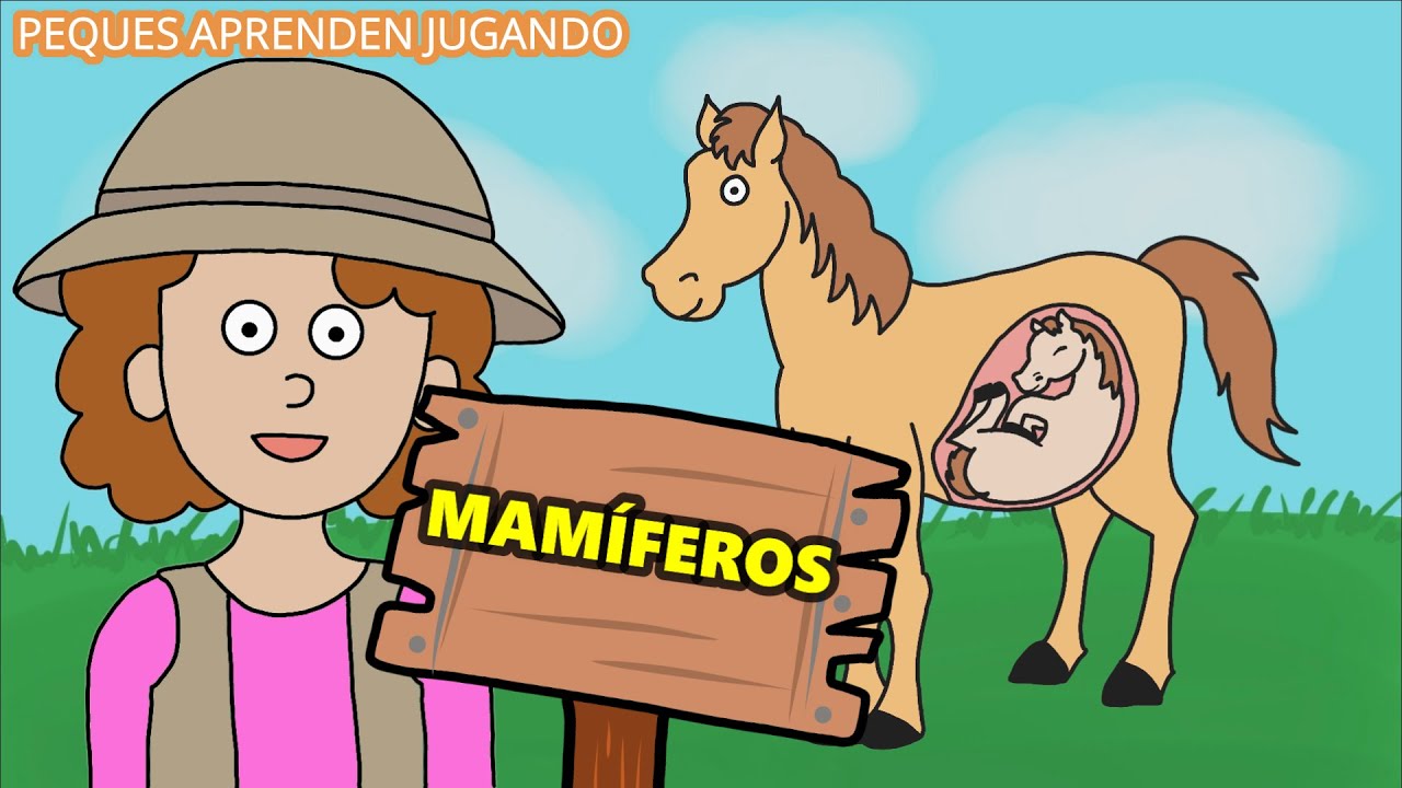 Los mam&iacute;feros video para ni&ntilde;os   Caracter&iacute;sticas de los animales mam&iacute;feros  Peques Aprenden Jugando