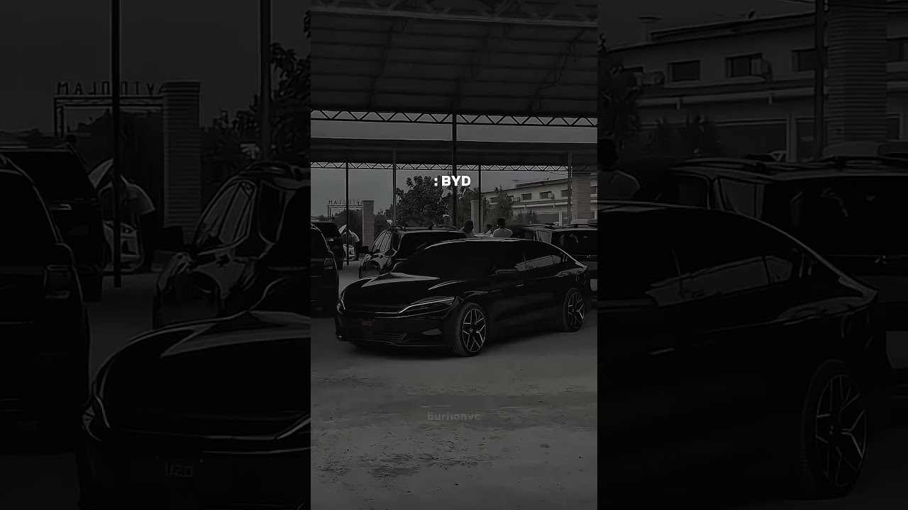 molibu elit haha koblt sila hahah