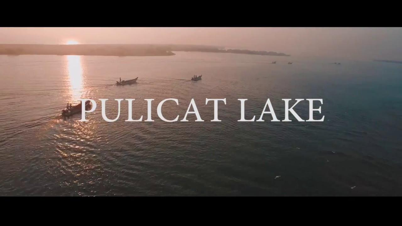 Camping in Pulicat lake | PAZHAVERKADU | INDIA'S SECOND LARGEST LAGOON | PADDLING