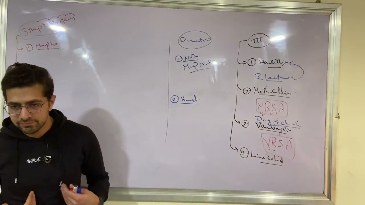 3- Strept pyogenes