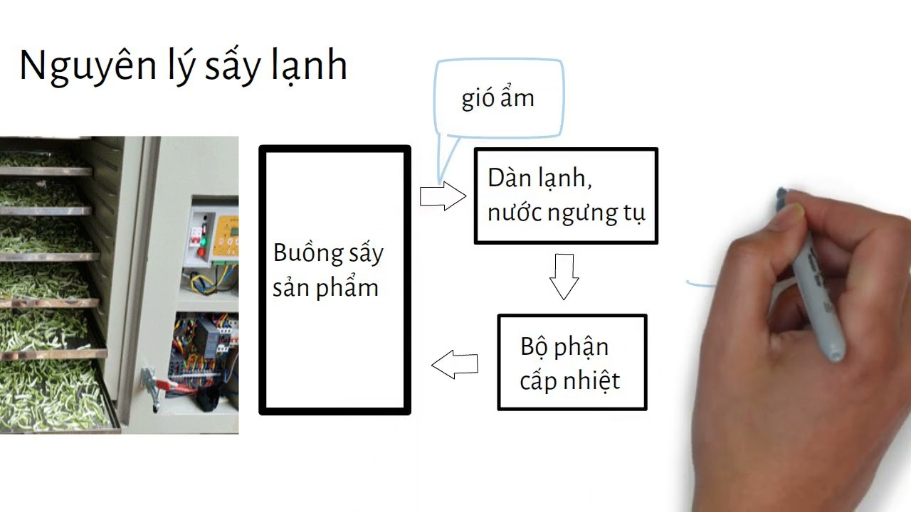 Máy sấy lạnh là gì, nguyên lý sấy lạnh như nào, Bạn sẽ hiểu rõ trong video này
