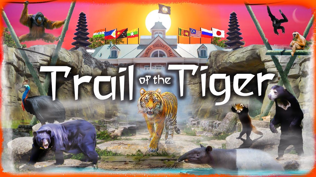 Zoo Tours: Trail of the Tiger | Virginia Zoo (2011)