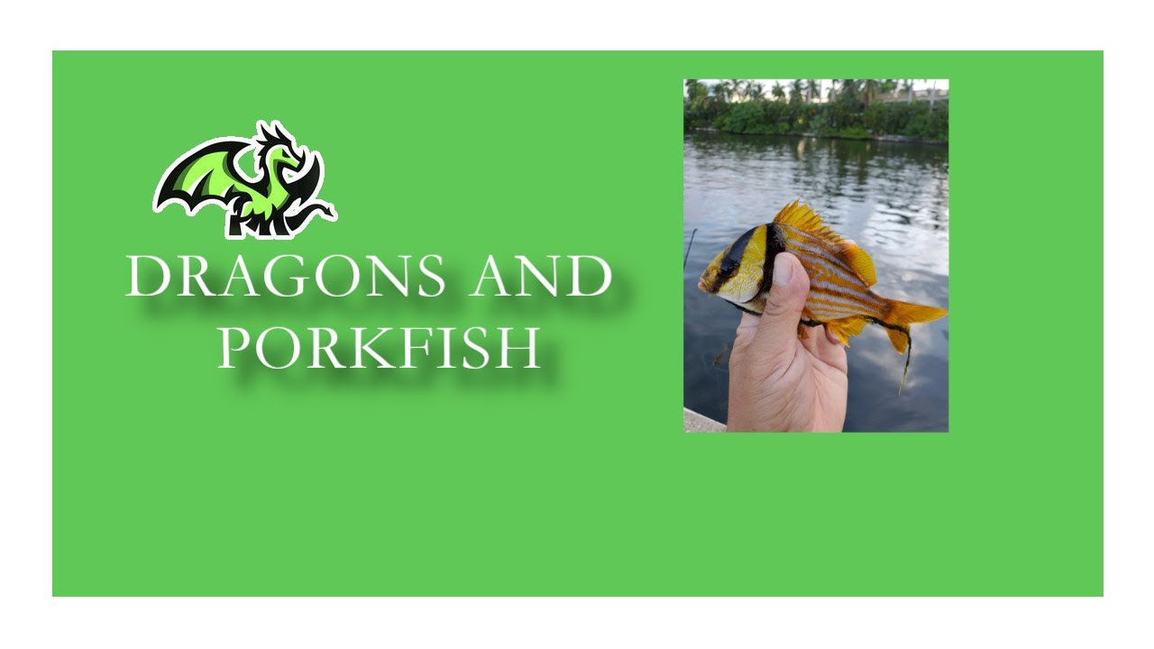 Florida Bridge Fishing Episode 1 Dragons and Porkfish