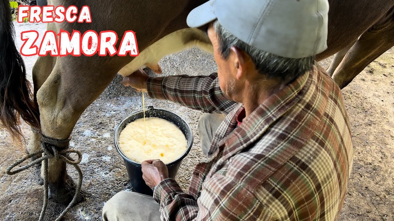 En esta HACIENDA se VIVE muy TRANQUILO y se respira PAZ  🌳🐄🐣 Josué y Elie