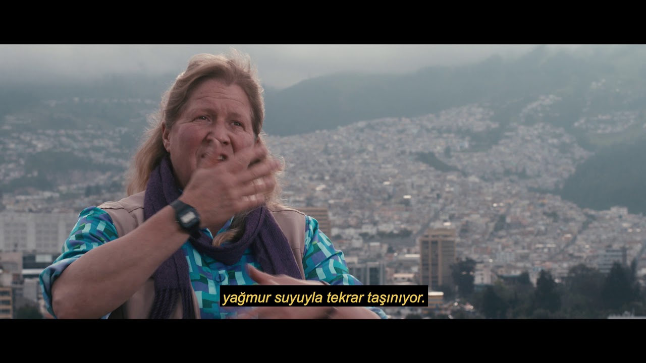 Lahar - volkanik çamur akışı: taş nehri