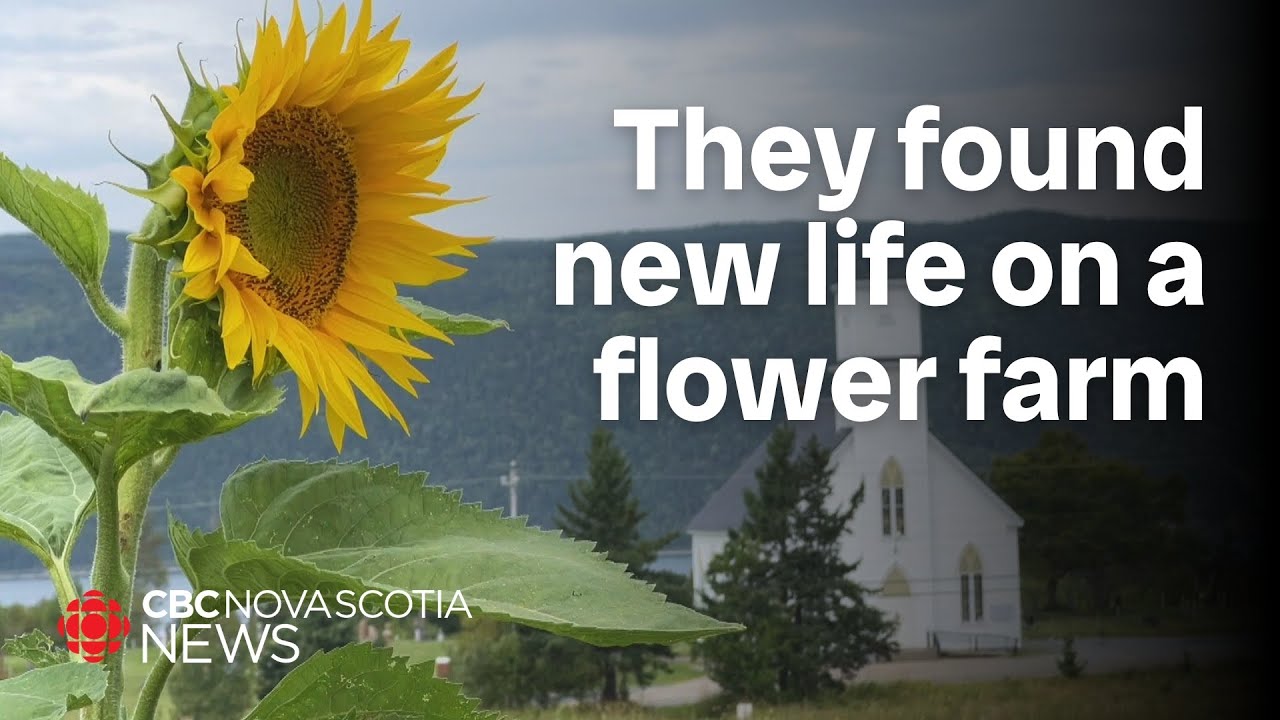 Visit this flower farm in Cape Breton
