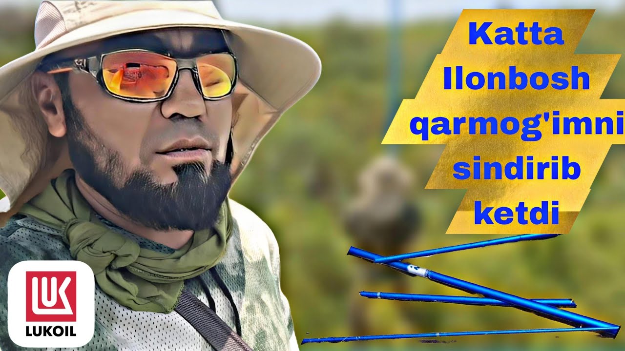 ИЛОНБОШ ОВИДА ИССИҚ
