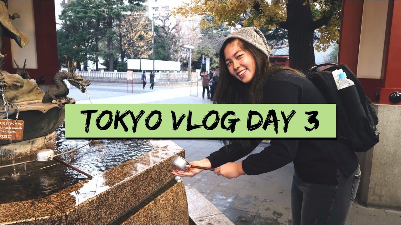 TOKYO, JAPAN VLOG 2016 | Tsukiji Fish Market, Sensoji Temple & Lots of food!