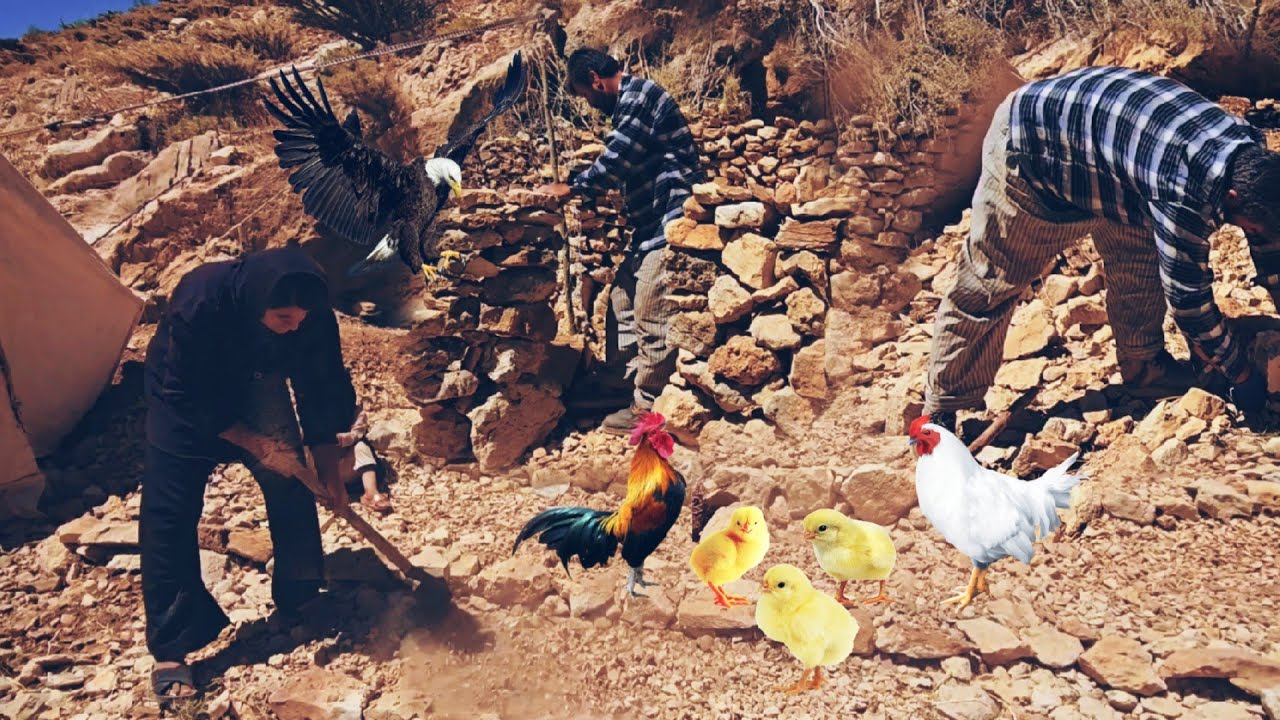 . The harsh life of nomads in the high mountains ❄️⛰️ | The real daily life of nomads in the steppe 