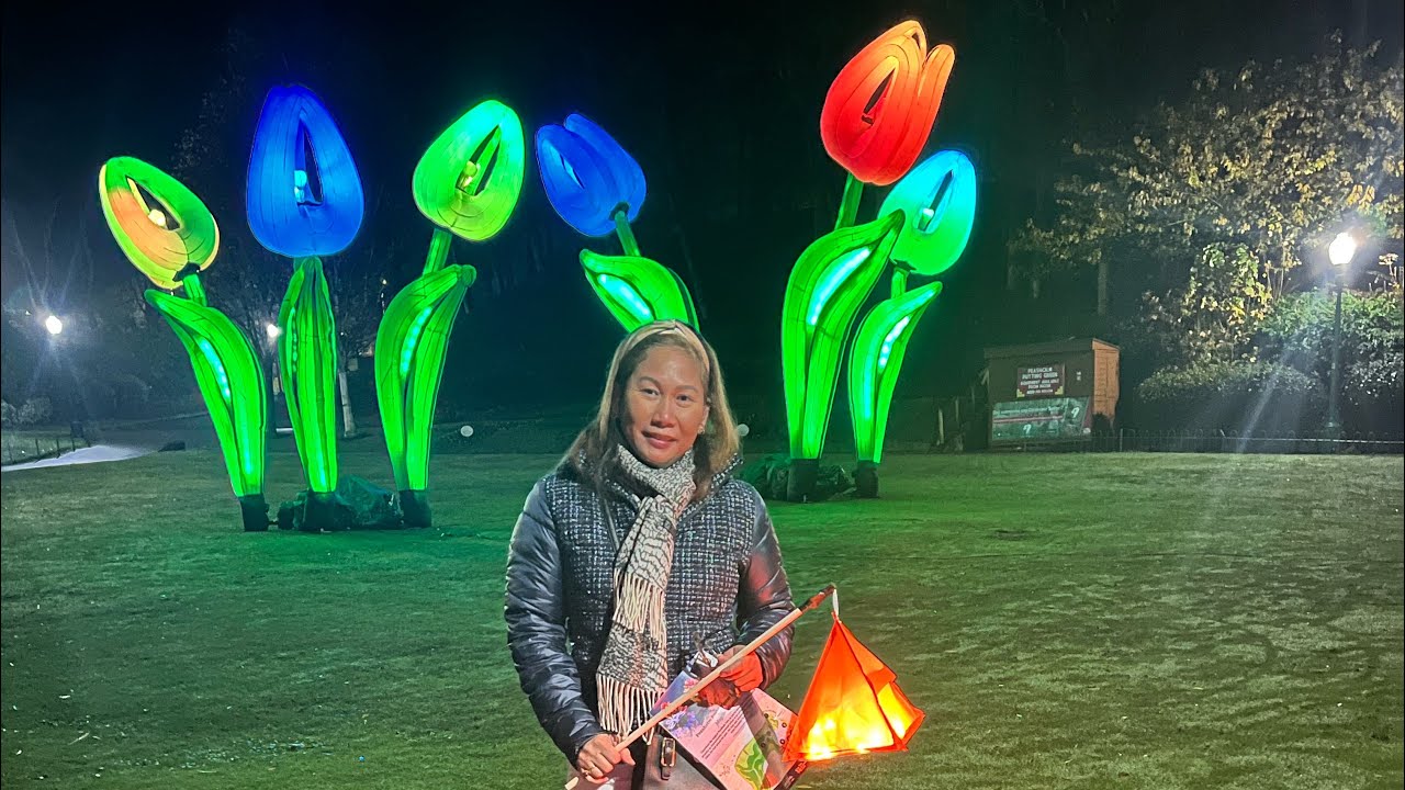 SCARBOROUGH, PEASHOLM PARK WINTER LIGHT TRAIL