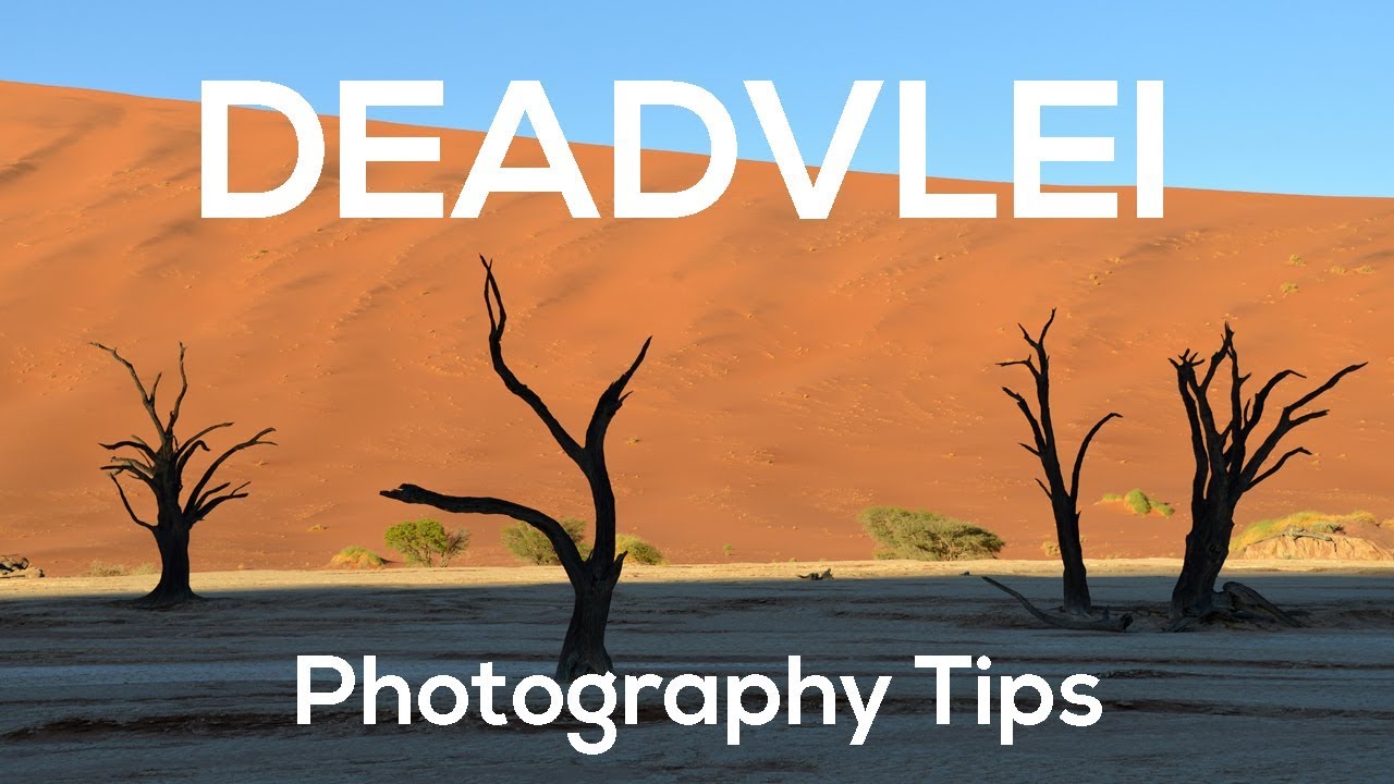 Deadvlei Photography Tips | Namibia