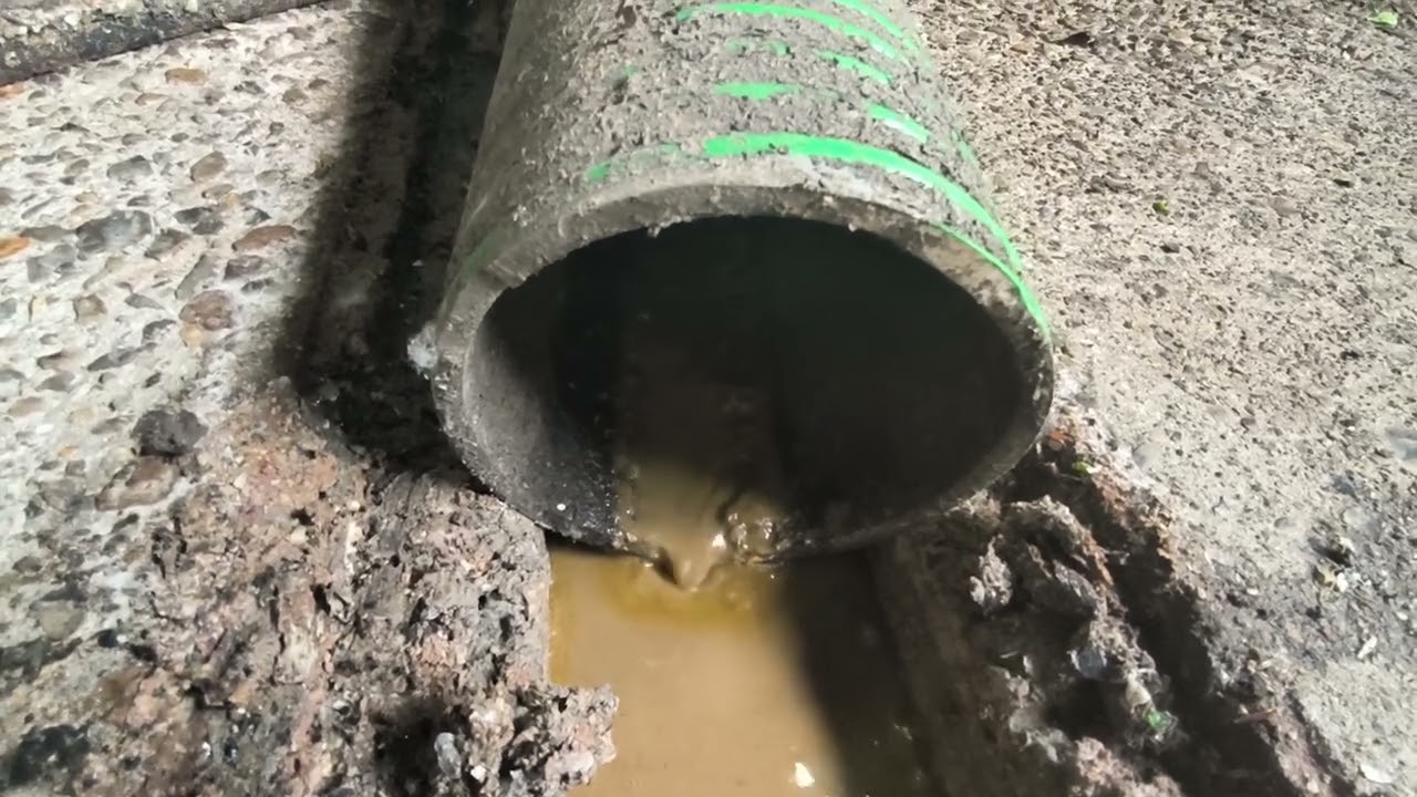 Dewatering cellulosic fibers / Essorage mix fibreux