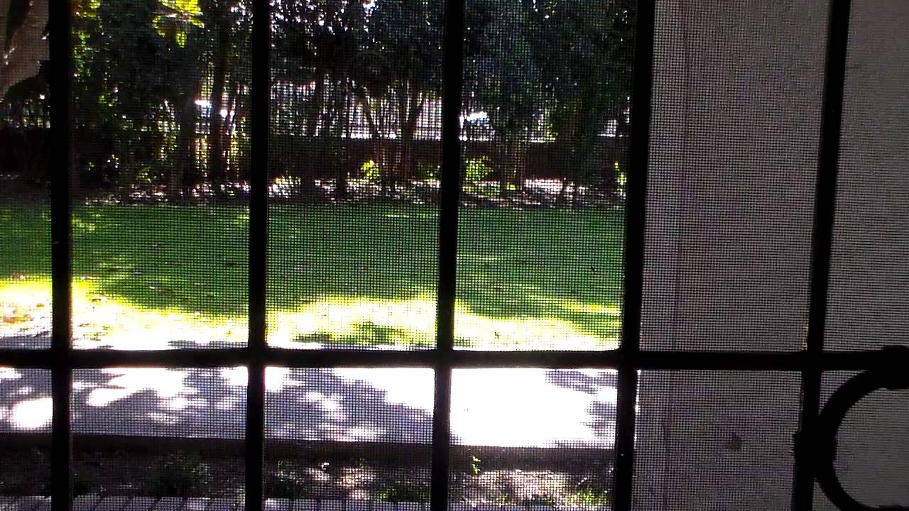 Adiós corazón amante