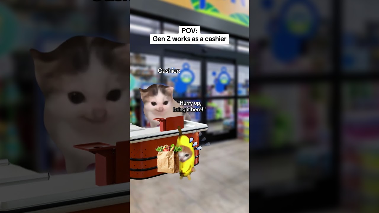 МЕМЫ С КОШКАМИ 🐱Поколение Z работает кассиром #мемы с кошками #близкие #отношения