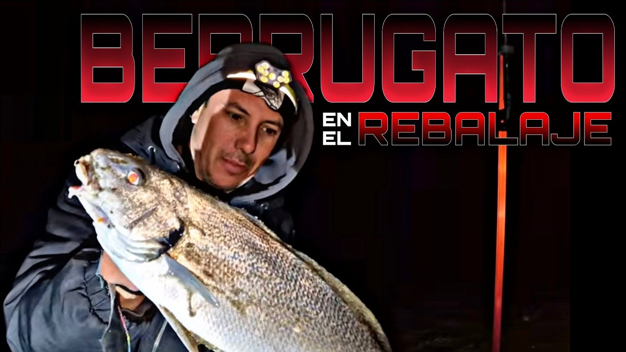 🔴 BERRUGATO XXL 🔴 a SURFCASTING en MOTRIL GRANADA. Disfruta del NUEVO CONTENIDO para el canal...