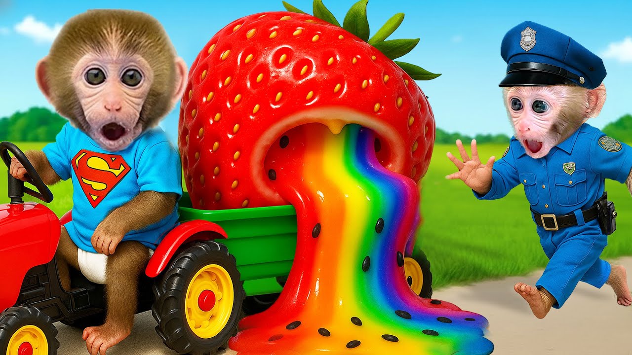 Monkey BonBon i psotny brat, który zawsze wpada w kłopoty – Monkey Poland