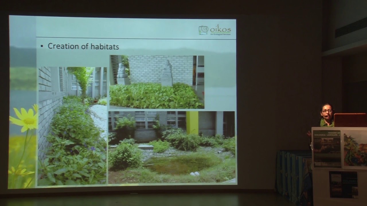 Manasi Karandikar | Creating micro habitats in an industrial context