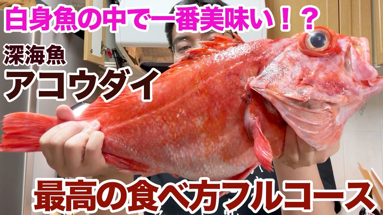 白身魚の中で一番美味い！？アコウダイの最高の食べ方フルコース