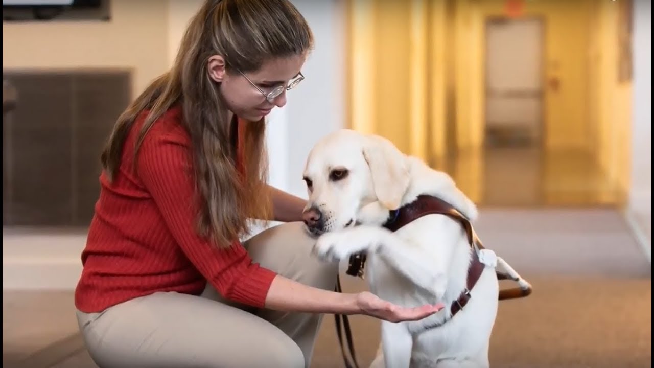 Celebrating Guide Dog Month: Meet Tanja and Nabu