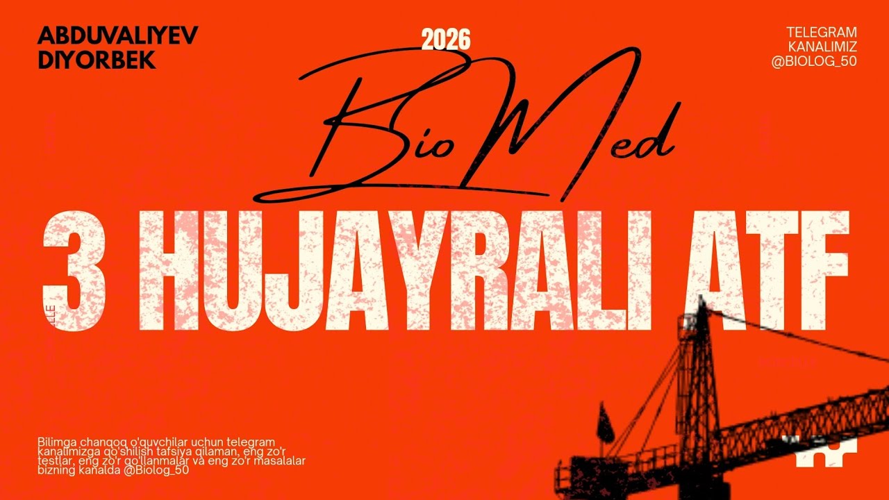 💥YANGI 3-HUJAYRALI ATF MASALA YECHIMI🤝