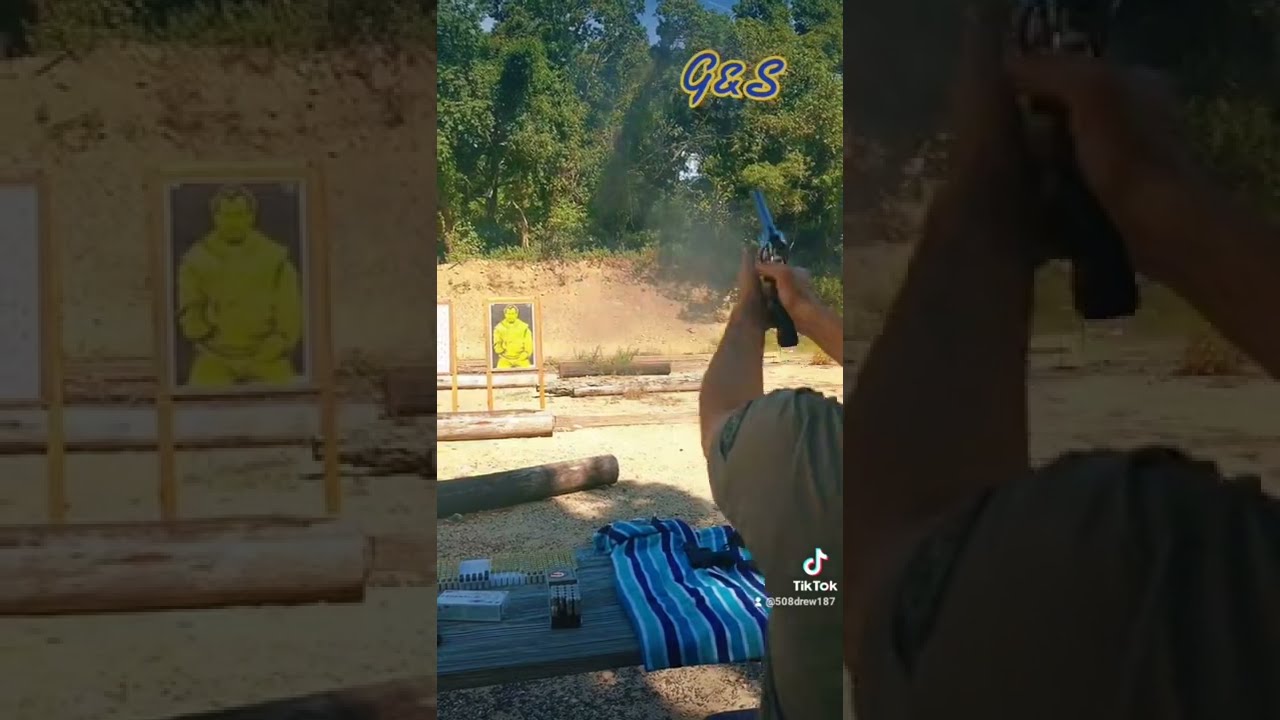 S&W 500 Magnum 700 grains Very first shots.