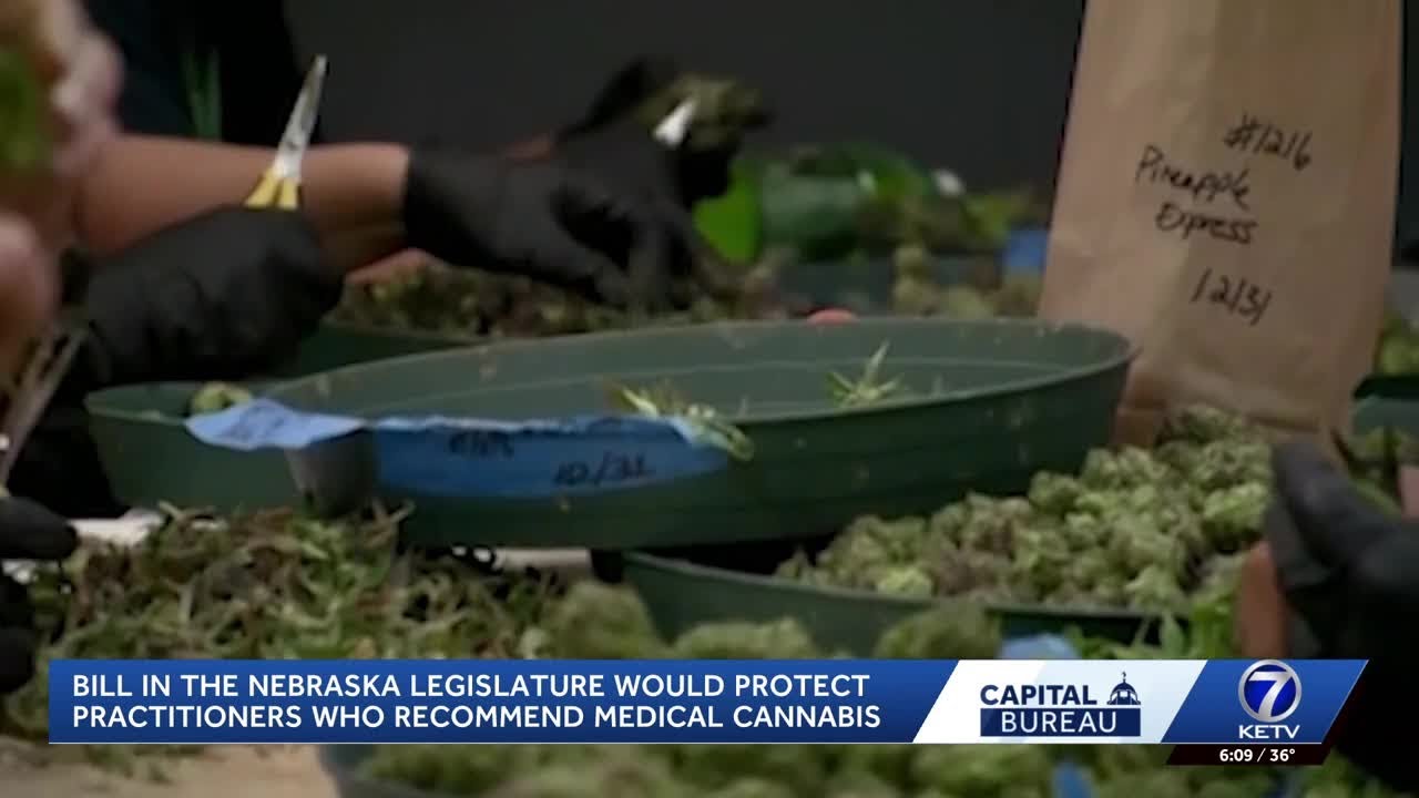 Nebraska bill to protect healthcare practitioners who recommend medical cannabis sails out of com...