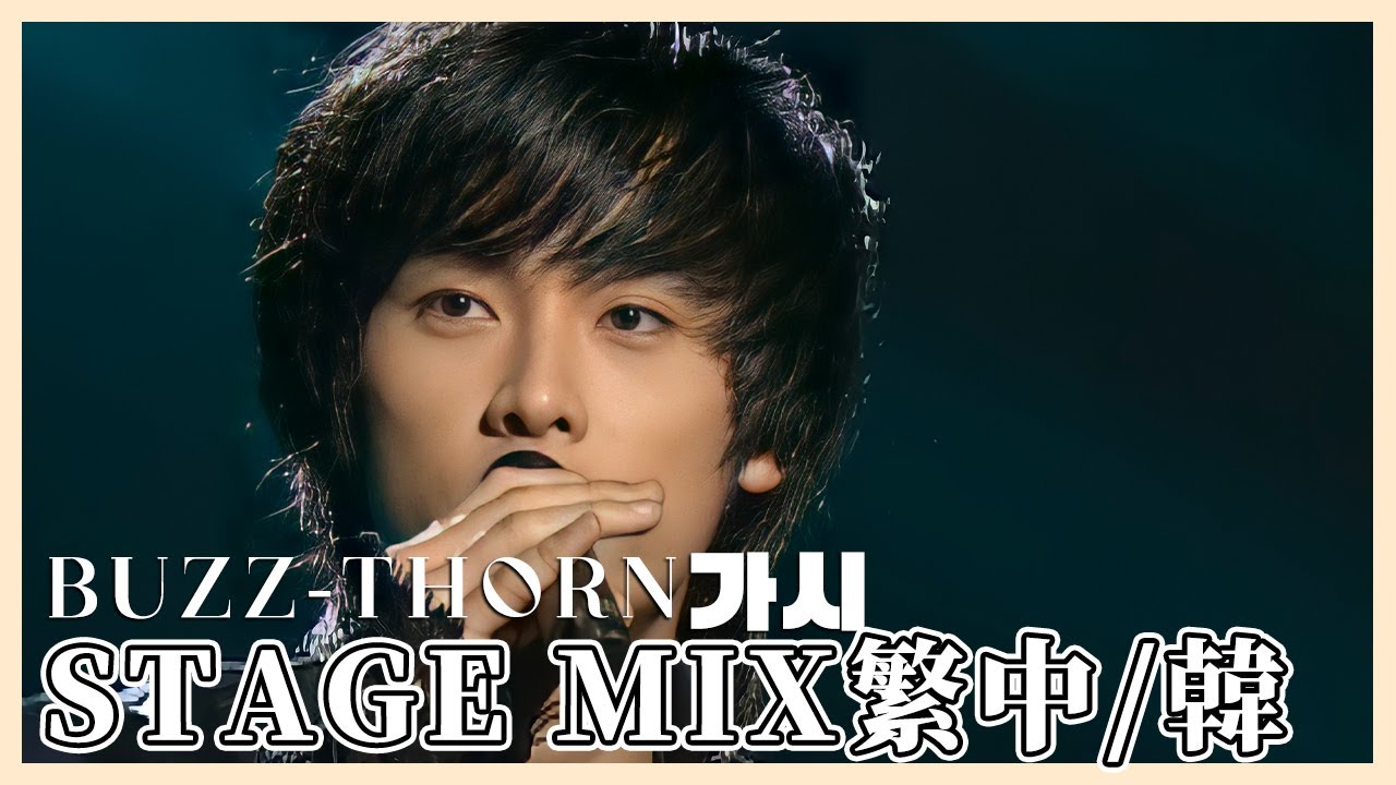 【STAGEMIX繁中|韓】가시Thorn刺-BUZZ버즈