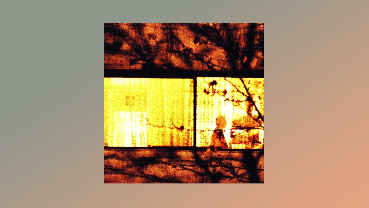 Katia Krow - When I Was a Bird Up There, 2025