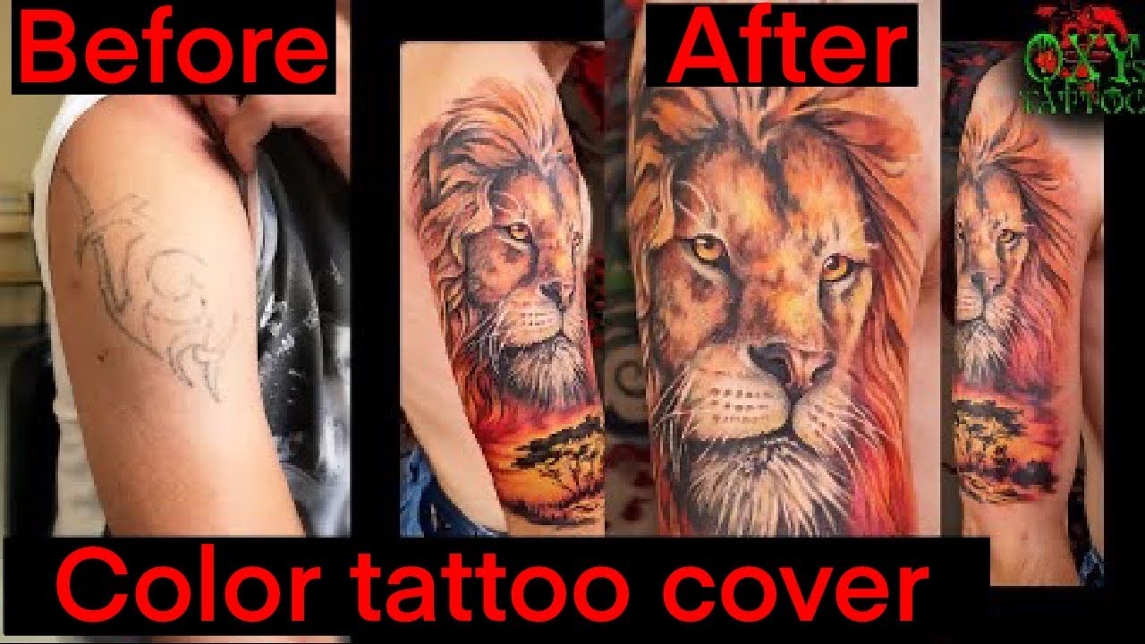 Tattooing a colored lion tattoo. Covering the tattoo