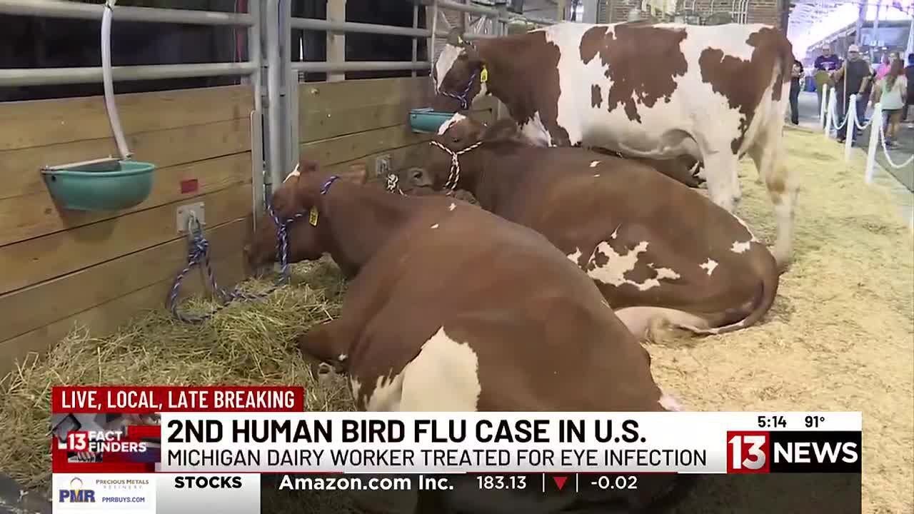 13 NEWS FACT FINDERS: Second human case of bird flu reported
