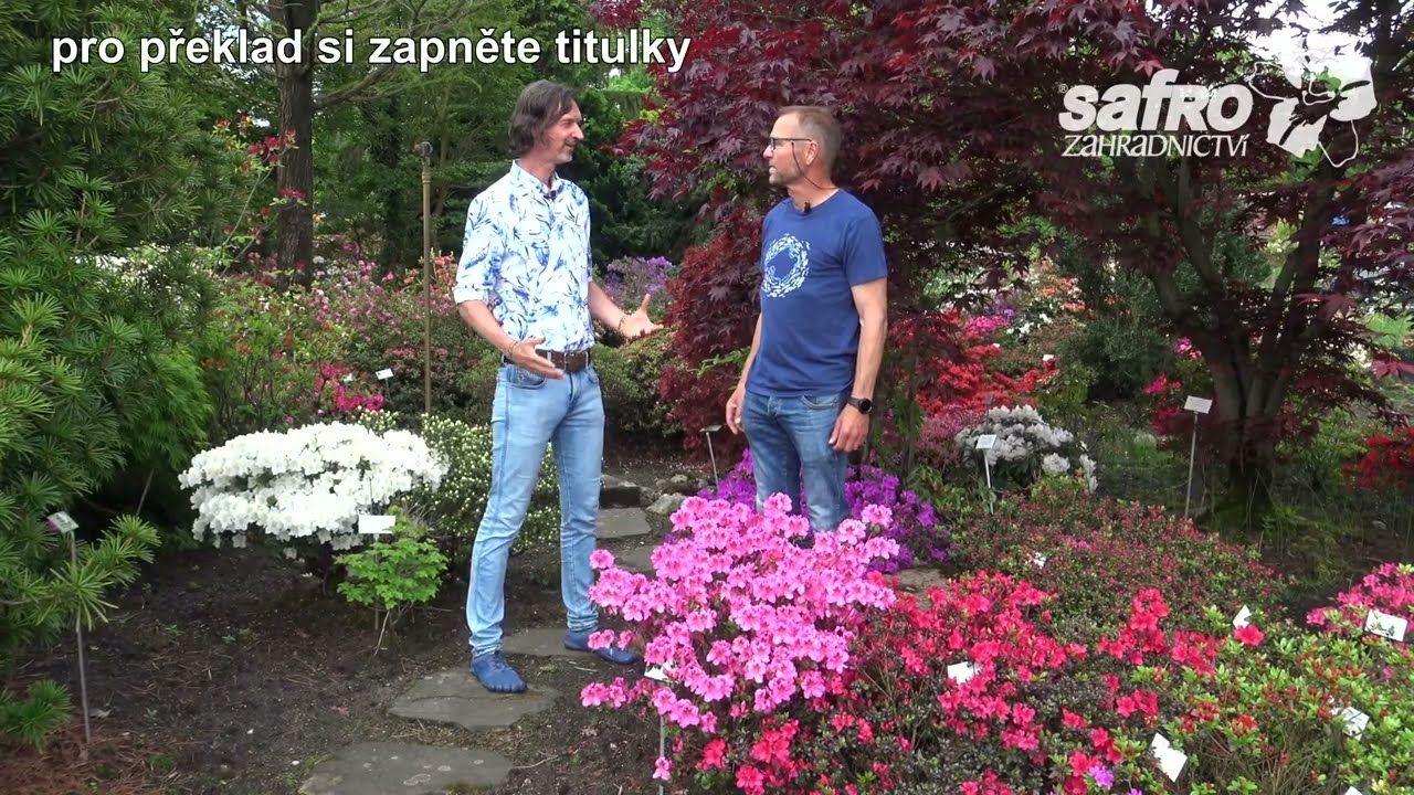 💚Okouzleni rododendrony - na návštěvě u H. Hachmanna 💚(ENG subtitles)