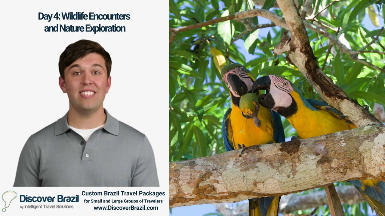 Brazilian Amazon Vacation Package at the Villa Amazonia Hotel and the Anavilhanas Lodge
