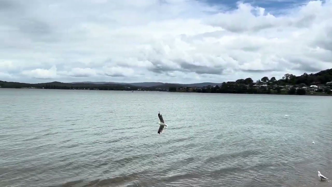 Warners Bay, Central Coast NSW #warnersbay #brunch #livingthelife 