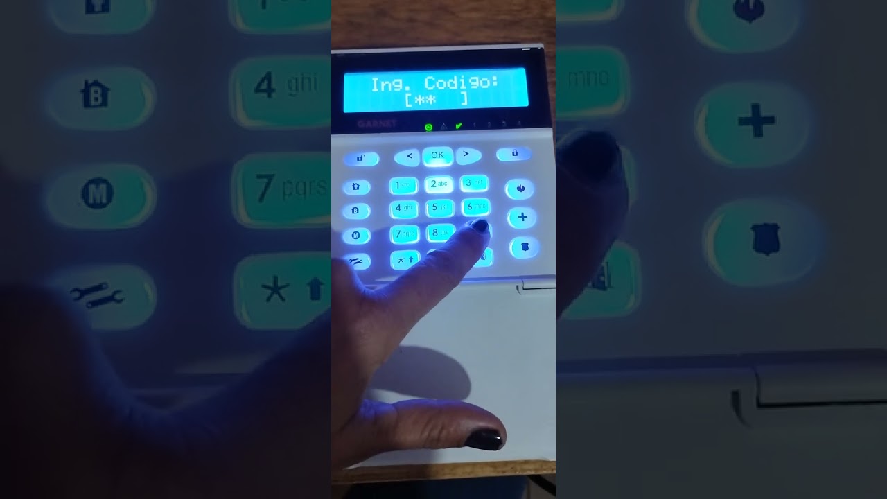 Configuración de Zona. Central de Alarmas Garnet