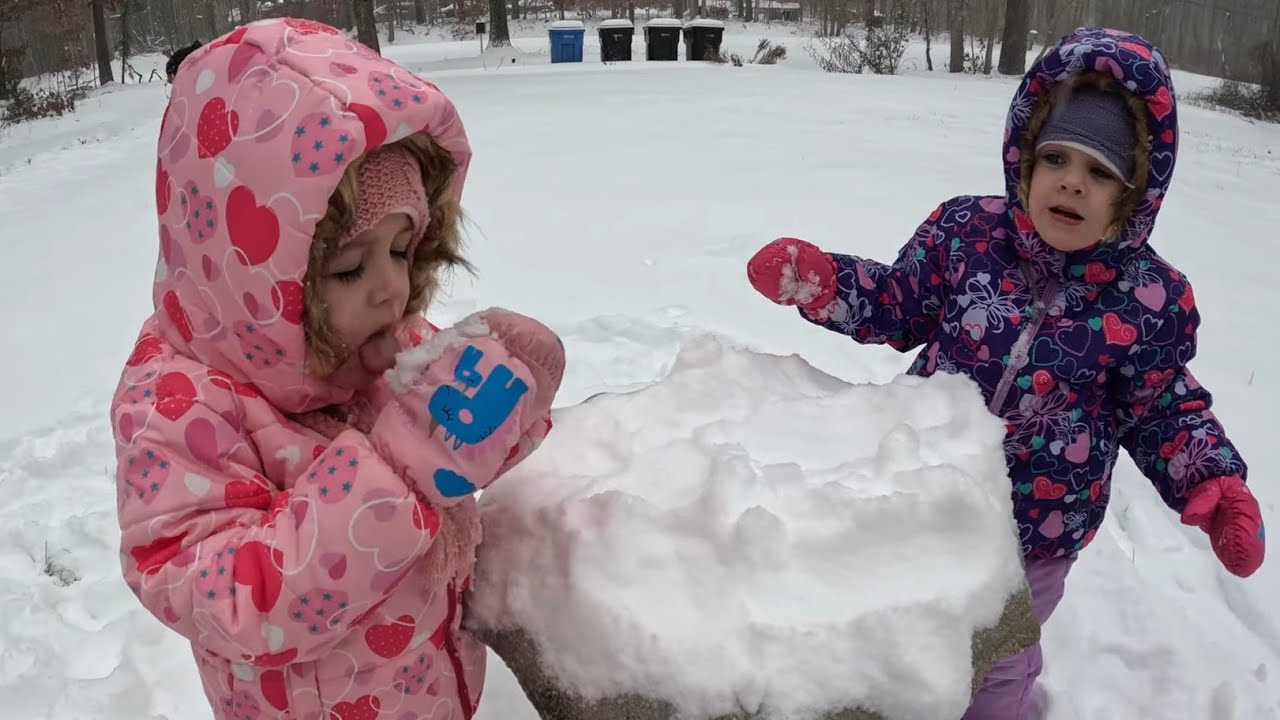 Twins have a snow day