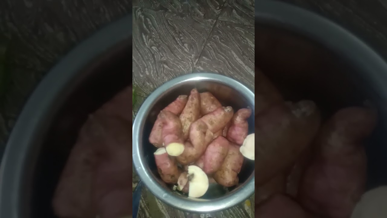 சர்க்கரவள்ளி கிழங்கு ரொம்ப நாள் கெடாமே இருக்கனுமுனா இத பண்ணுங்க