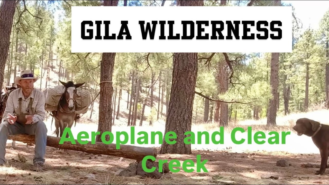 Gila Wilderness: Aeroplane Mesa and Clear Creek area
