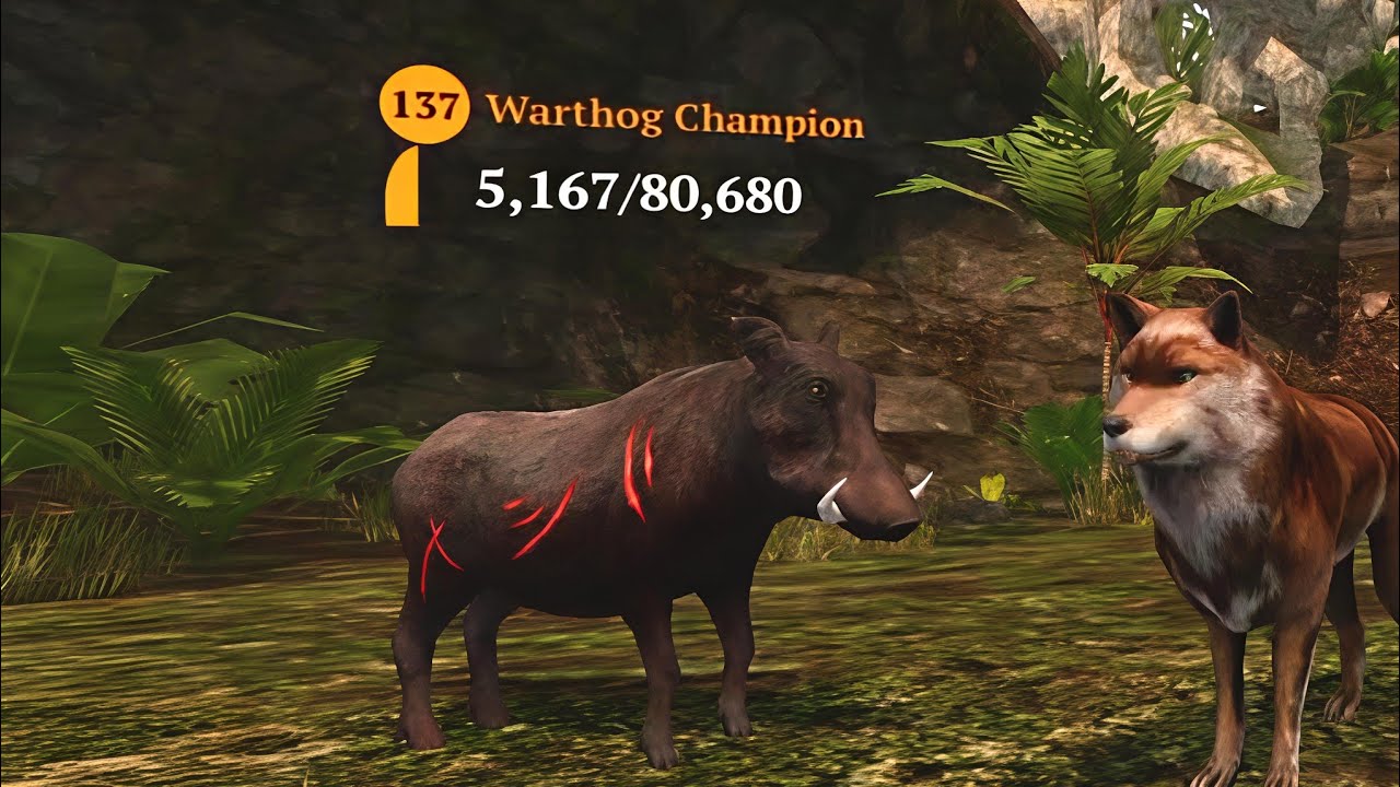 The Wolf - Warthog Champion In Featured Tropical Forest 🏆