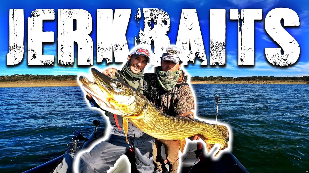 LUCIOS en INVIERNO con JERKBAIT *Nos hinchamos a peces*
