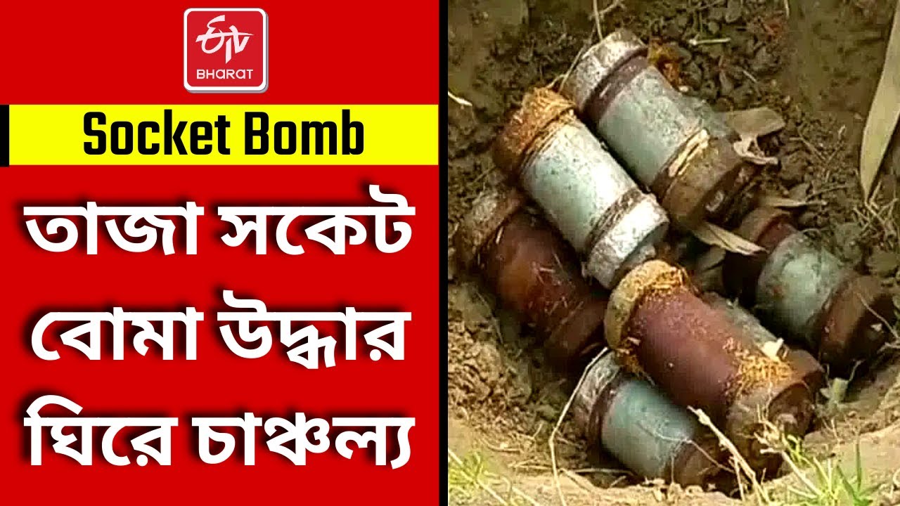 Socket Bomb Recovered: তাজা সকেট বোমা উদ্ধার ঘিরে চাঞ্চল্য | Socket Bomb in Murshidabad