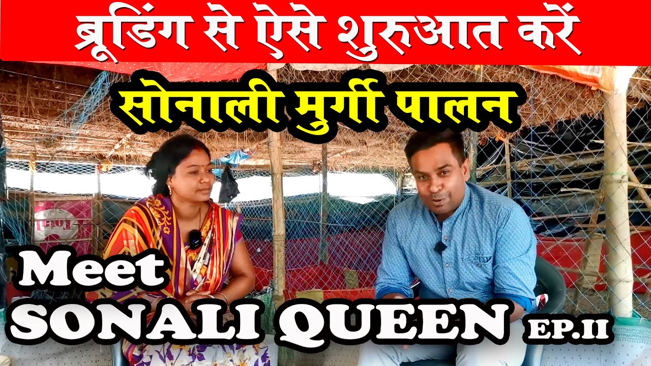 सोनाली देसी मुर्गी पालन बिज़नेस  करना हो तो Jharkhand की SONALI QUEEN की बातें आपके काम आ सकती है