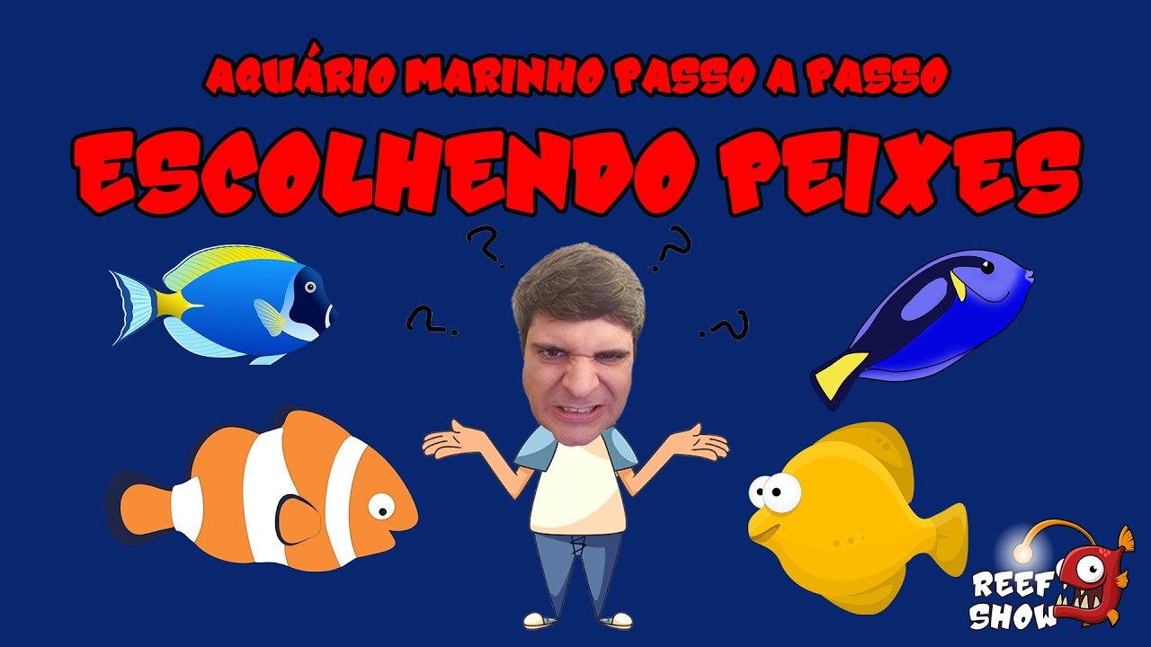 Como escolho PEIXES PARA o MEU AQUÁRIO - Aquário Marinho Passo a Passo #14