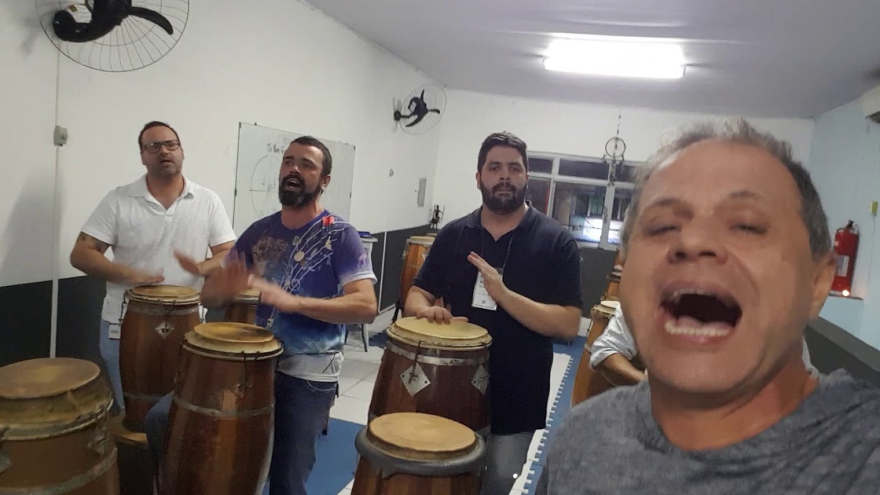 Juremeira olha as folhas das Palmeiras