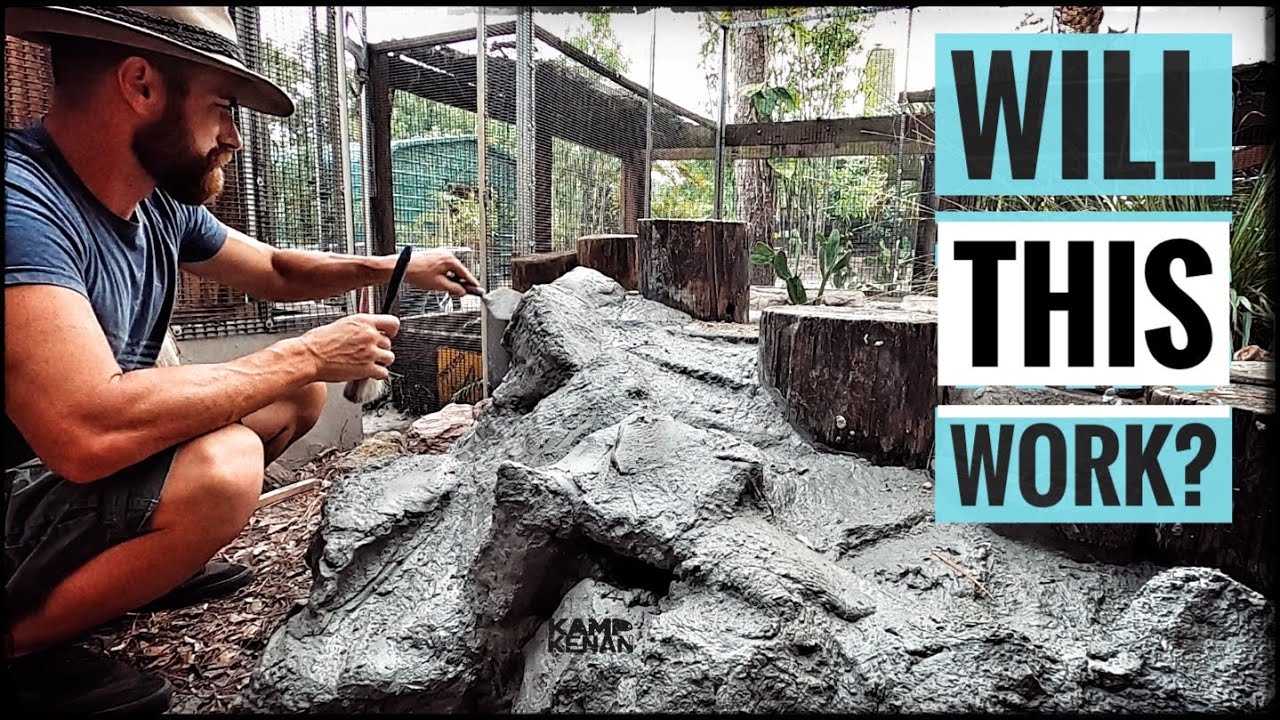 Building a Rock Ramp for Chinese Box Turtles! (Will it work?)
